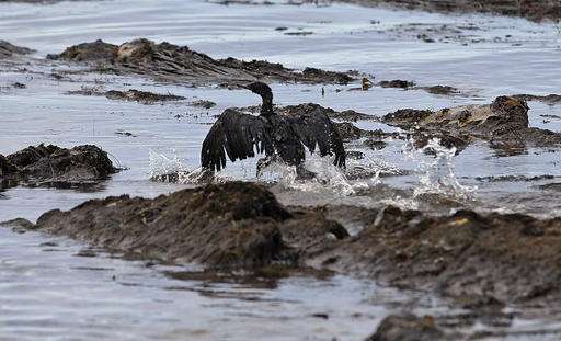 Company charged in oil spill that fouled California beaches