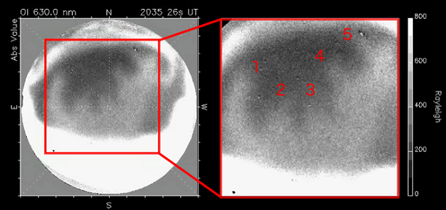 Confirming the structure and shape of polar cap patches