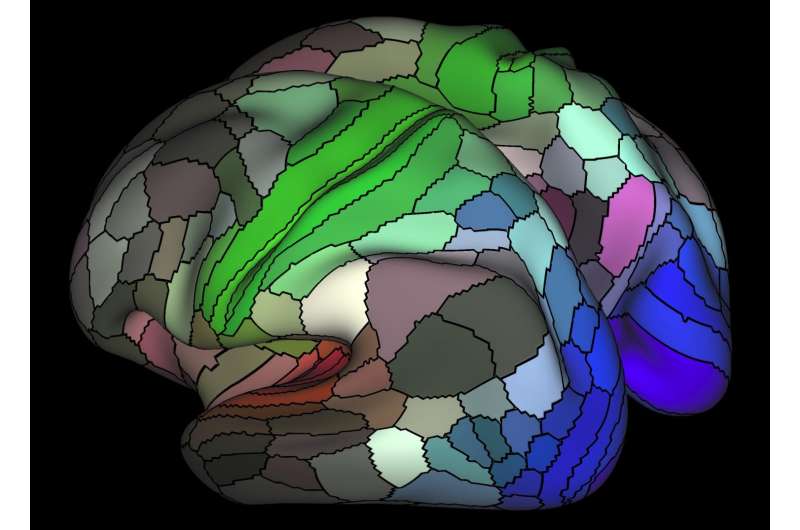 Connectome map more than doubles human cortex's known regions