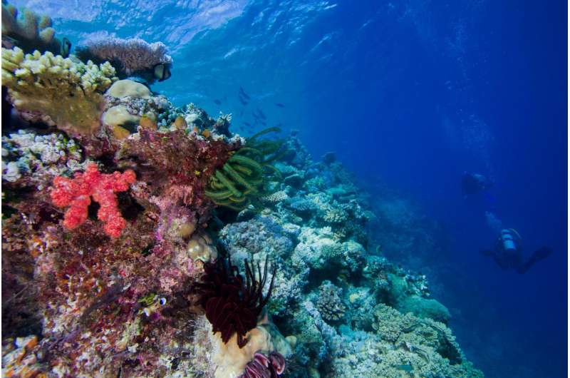 Continental drift created biologically diverse coral reefs