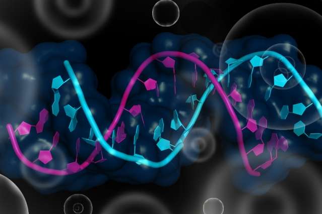 Controlling RNA in living cells: Modular, programmable proteins can be used to track or manipulate gene expression