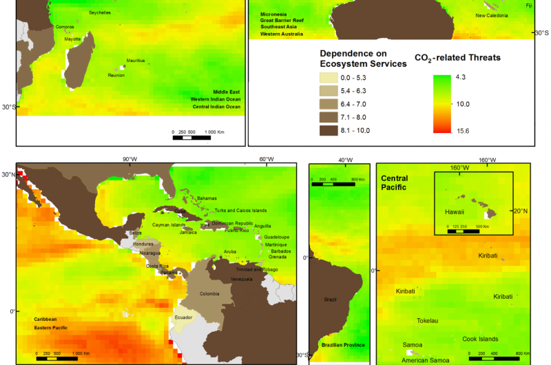 Coral reefs and their communities may be severely affected by rising CO2 levels