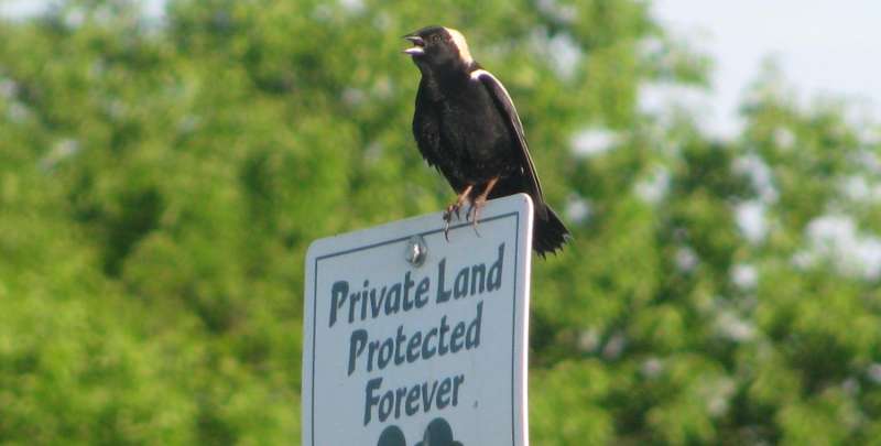 Cornell and Land Trust Alliance partner to protect birds on private land