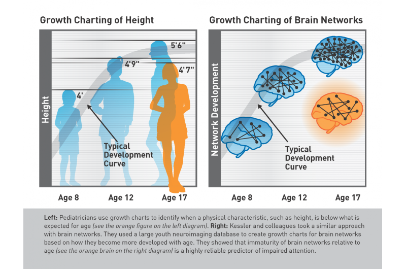 Could a brain 'growth chart' spot attention problems early? New study suggests so