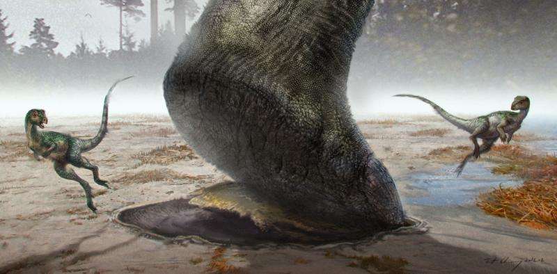 Could big dinosaurs swim? Scientists follow the footprints