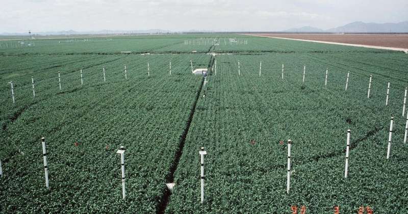 Could global warming's top culprit help crops?