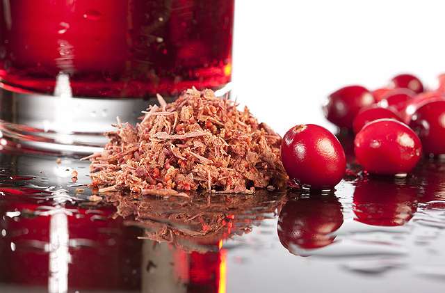 Cranberry compound may help prevent urinary tract infections