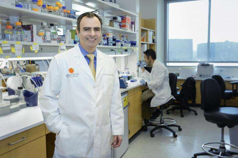 CRI develops approach for identifying processes that fuel tumor growth in lung cancer patients