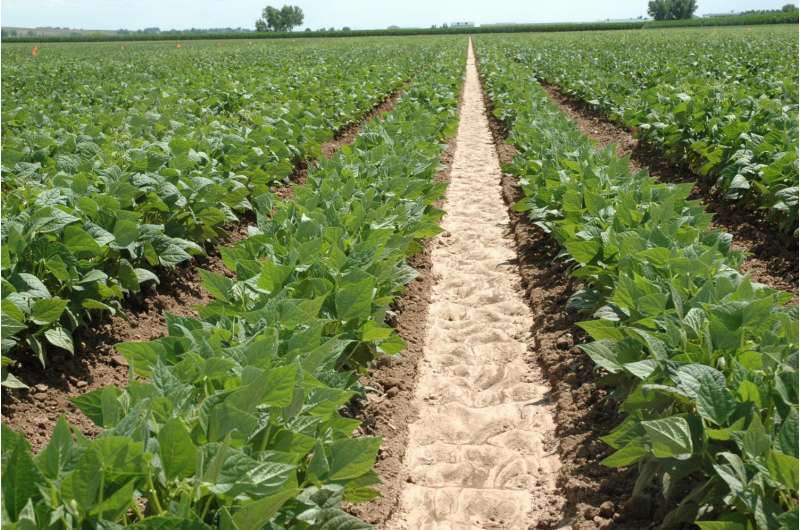 Crop advances grow with protection
