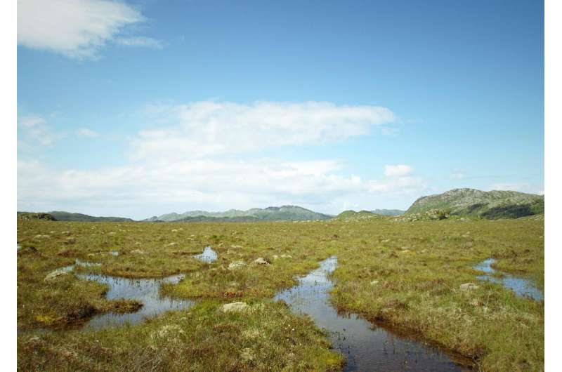 Crucial peatlands carbon-sink vulnerable to rising sea levels