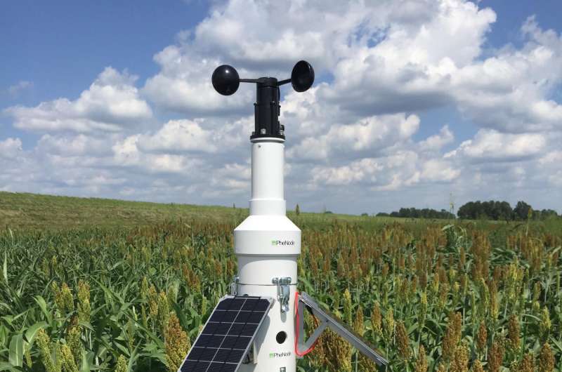 Danforth Plant Science Center develops versatile field phenotyping to benefit farmers
