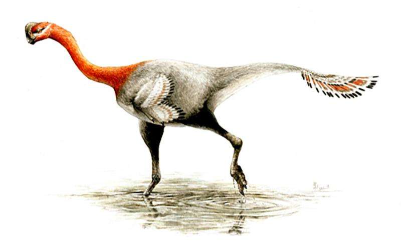 Deceptive feathered dinosaur finally gets a name