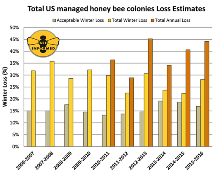 Deciphering the mysterious decline of honey bees