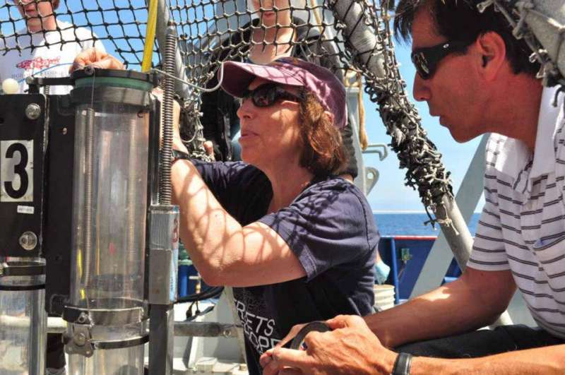 Deep-sea biodiversity impacted by climate change's triple threat