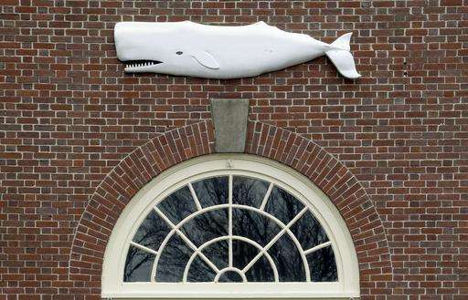Did your ancestor hunt whales? Museum database offers clues