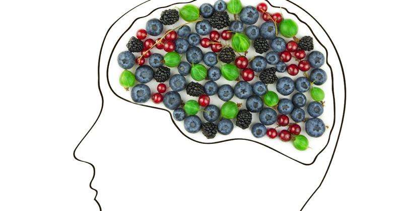 Diet proven to lower the risk of Alzheimer's disease also ranked No. 1 easiest to follow