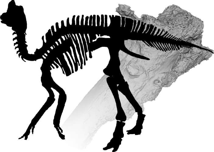 Digitally diagnosing dinosaur osteophathy