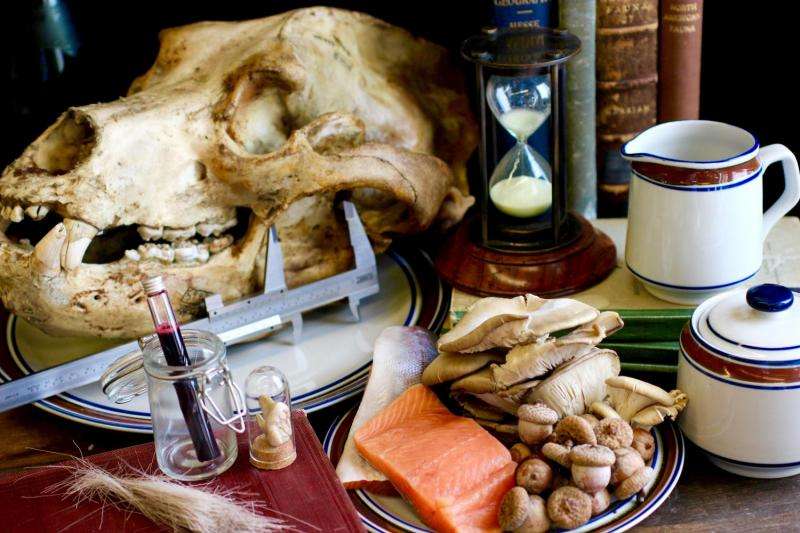 Dissecting the animal diet, past and present