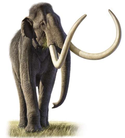 DNA proves mammoths mated beyond species boundaries