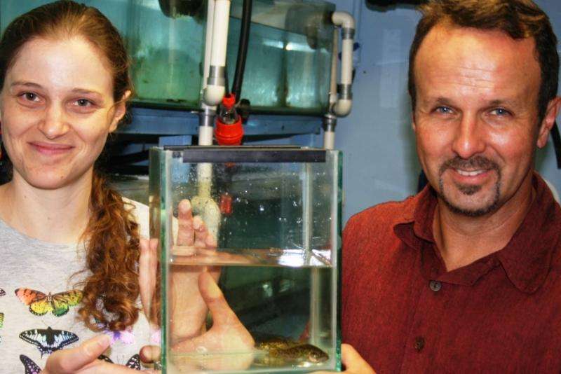DNA work saves fish from extinction
