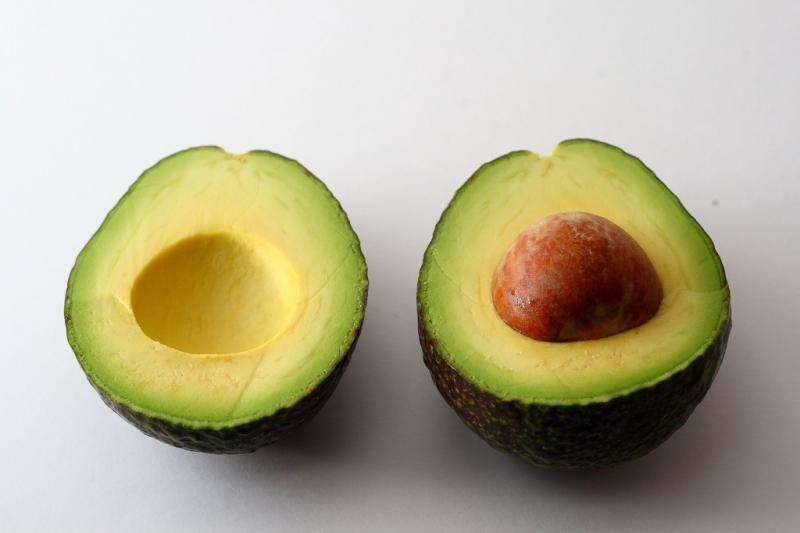 Don’t panic, but your avocado is radioactive—study eyes background radiation of everyday objects