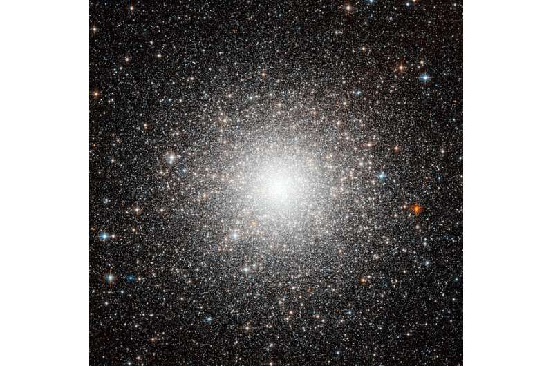 Dozens of new variable stars found in a dense globular cluster