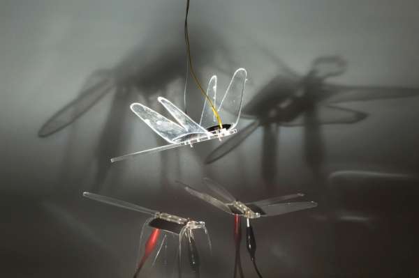 Dragonfly shows simulated flight potential