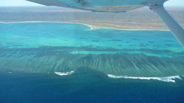 Drawing connections between Ningaloo and Great Barrier reefs