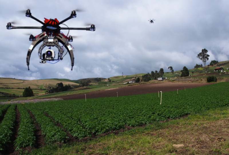 Drones at the service of biodiversity