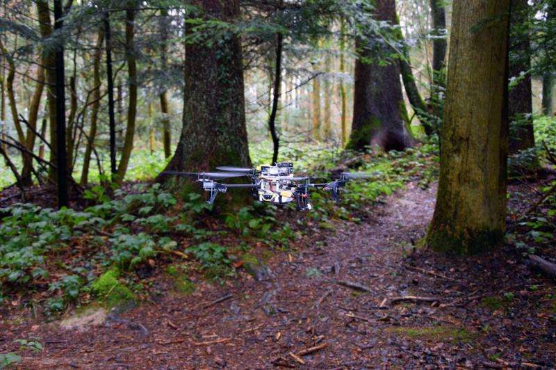 Drones learn to search forest trails for lost people