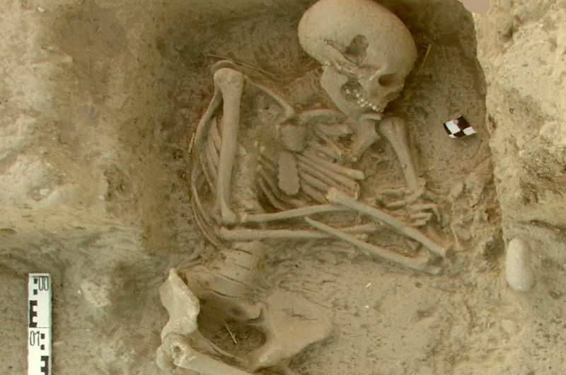 Early farmers from across Europe were direct descendants of Aegeans