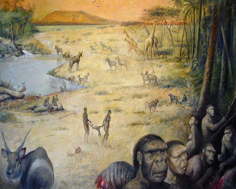 Early human habitat, recreated for first time, shows life was no picnic