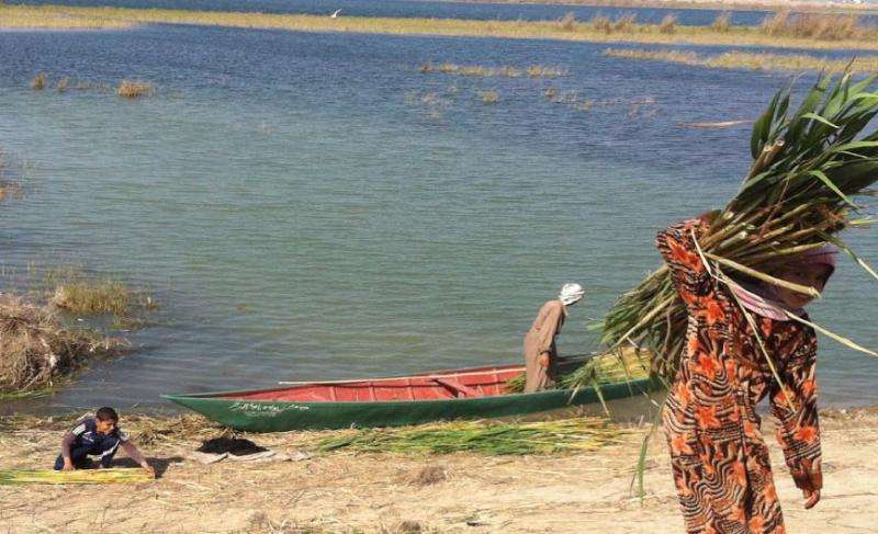 Ecological collapse circumscribes traditional women's work in Iraq's Mesopotamian Marshes