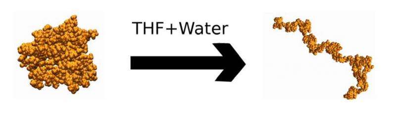 Effect of THF-water cosolvent on lignin