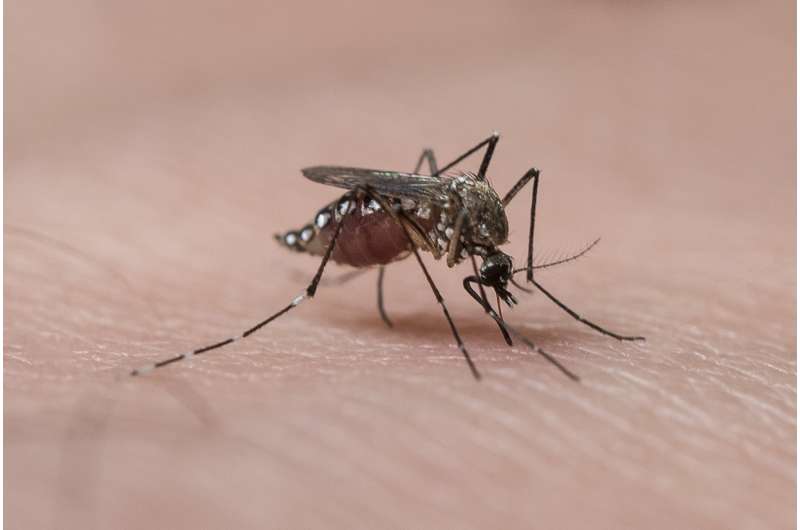 El Ni&amp;#241;o fueled Zika outbreak, new study suggests