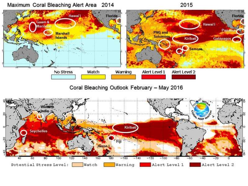 El Ni&amp;ntilde;o prolongs longest global coral bleaching event