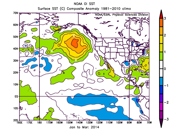 El Nino patterns contributed to long-lived marine heatwave in North Pacific
