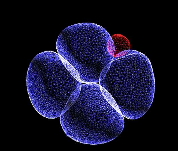 Embryo development: Some cells are more equal than others even at four-cell stage