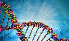 Ethics review identifies top two challenges for genome editing