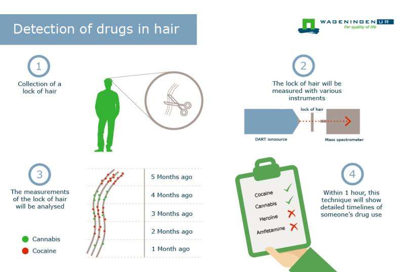 Evidence of drug use detectable in hair for months