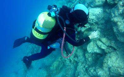 Expedition finds remains of fortified Roman port are much larger than previously thought