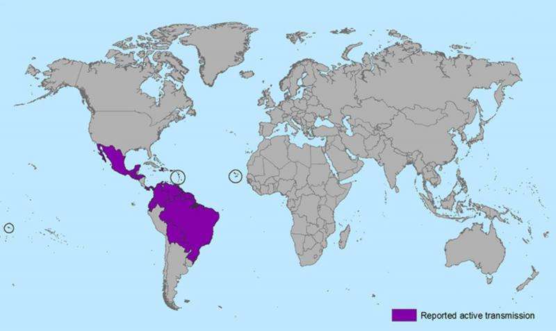 Explainer: Where did Zika virus come from and why is it a problem in Brazil?
