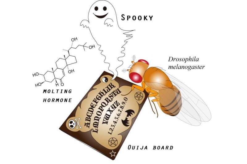 Expression of a “Ouija Board” protein that can summon “monster” genes