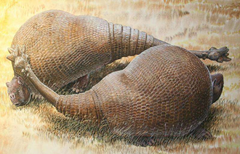 Extinct glyptodonts really were gigantic armadillos, ancient DNA shows