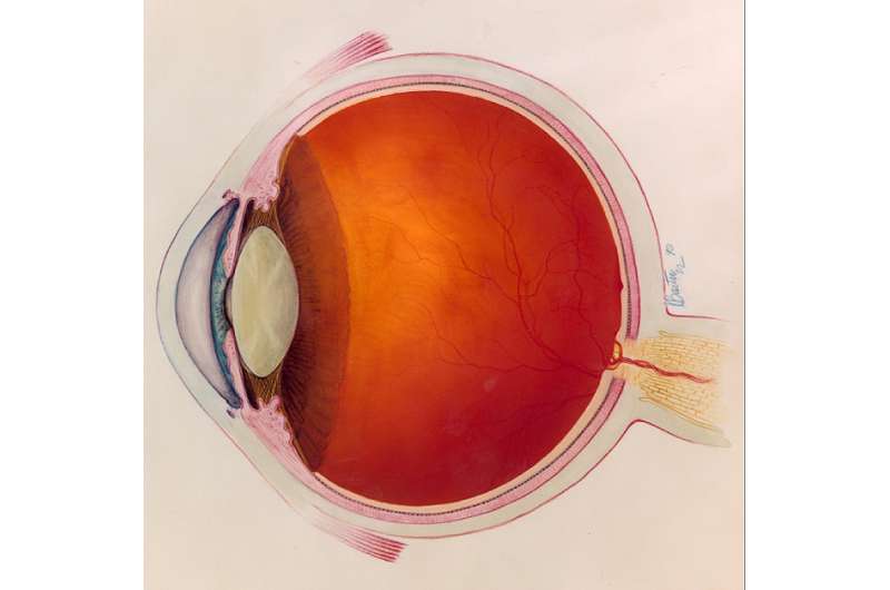 Eye Melanoma, Media Hype, and Genomic Medicine