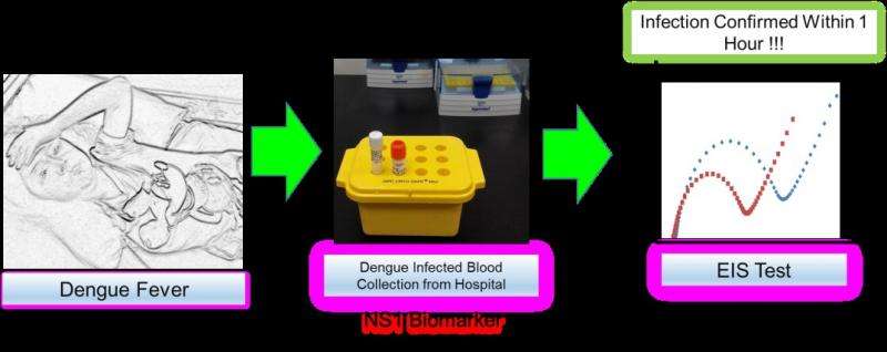 Fast detection for Dengue virus with new diagnostic