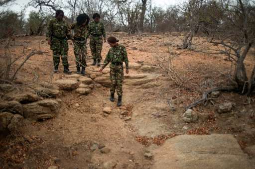 Female members of the anti-poaching team &quot;Black Mambas&quot; conduct a routine patrol through a wildlife reserve on Septemb