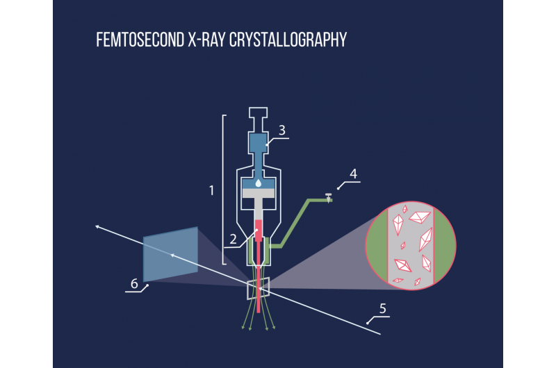 Femtosecond X-ray Crystallography