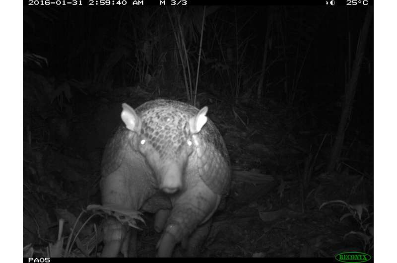 Field Museum expedition captures animal selfies in Amazon Rainforest