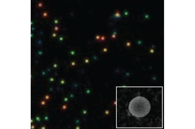 Figure 3. Dark-field image of an array of silicon particles of different diameters used in the experiment.